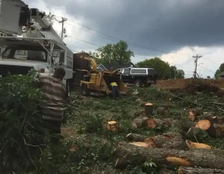 imgi_82_g-riveras-tree-service-gallery-17-1920w